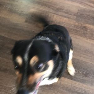 Meet your Posher, Phil